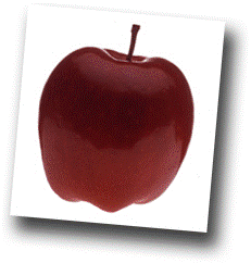 Apple picture