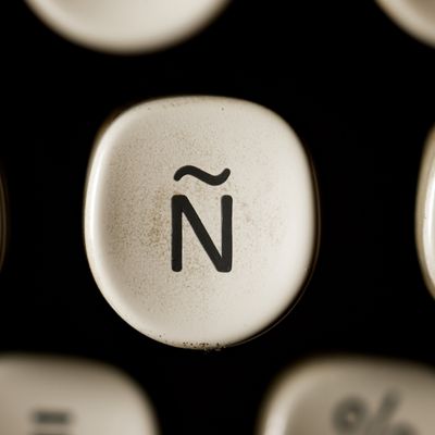 The N web
