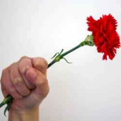 SpanPort Celebrates 50 Years of the Portuguese Carnation Revolution! 
