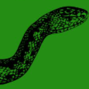 Call for Talks for the Andean-Amazonian Symposium